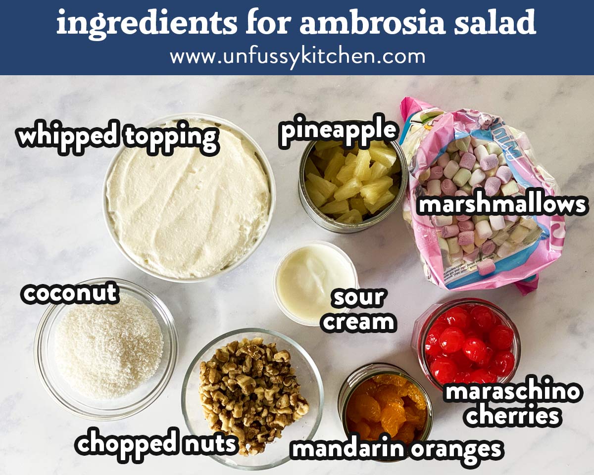 photo of ambrosia salad ingredients with text labels