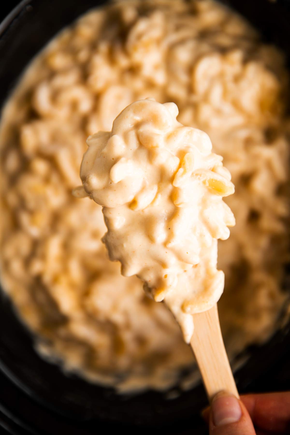 Mac and cheese on wooden spoon