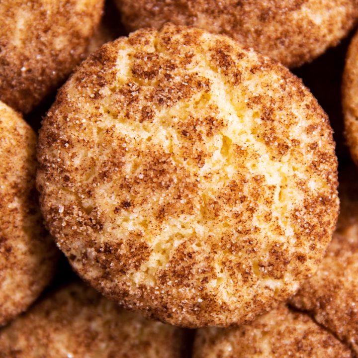 overhead close up view of snickerdoodle cookie