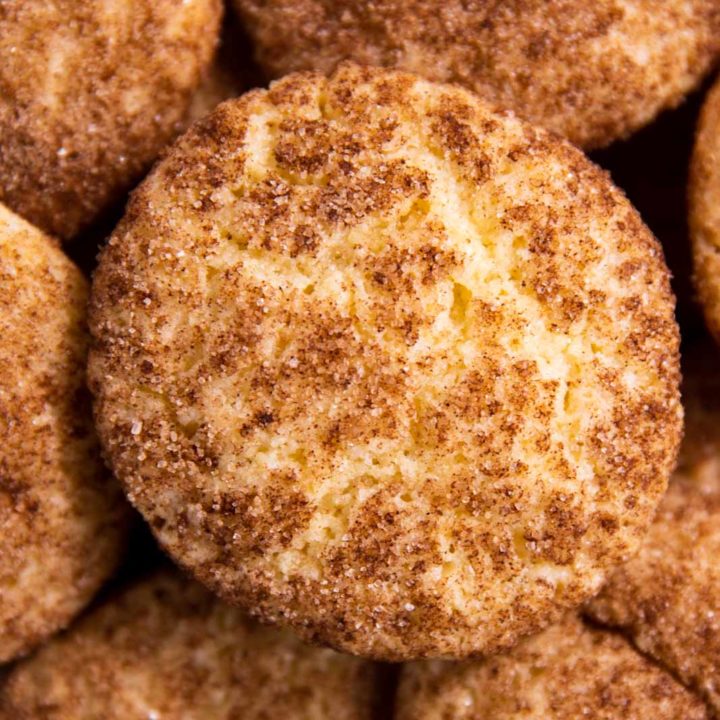 overhead close up view of snickerdoodle cookie