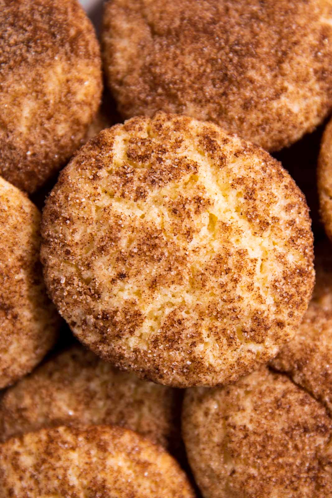 overhead close up view of snickerdoodle cookie