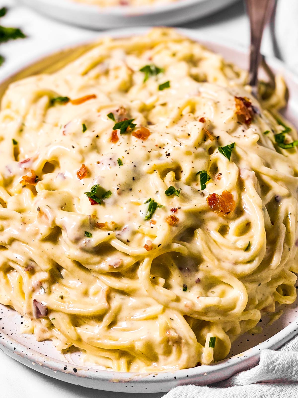 frontal view of white plate filled with bacon cream cheese pasta